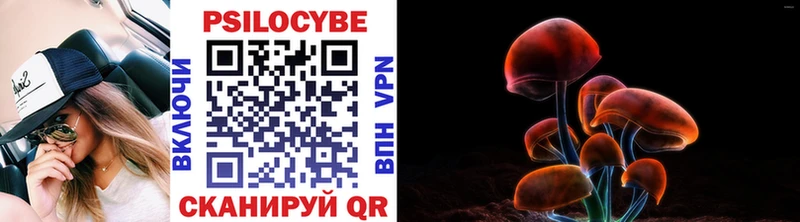 Псилоцибиновые грибы мицелий  продажа наркотиков  Ядрин 