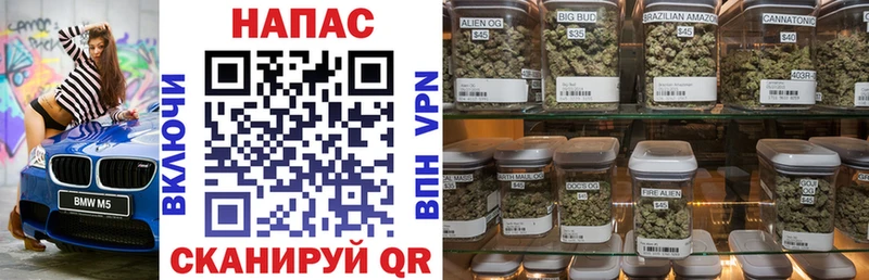 где продают наркотики  Ядрин  Марихуана White Widow 
